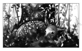 Fawn thumbnail