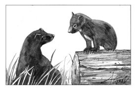 TOS_Fisher_kits_web.jpg thumbnail