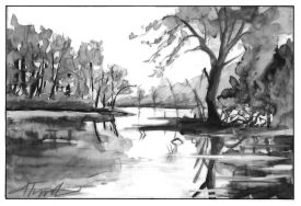 TOS_Floodplain_Forest_w.jpg thumbnail