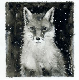 tos_fur_fox_web.jpg thumbnail