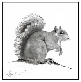 Gray Squirrel thumbnail
