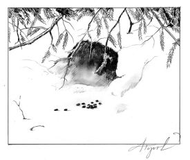 TOS_HareHome_web.jpg thumbnail