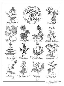 TOS_Honey_bee_menu_web.jpg thumbnail