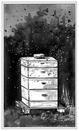 TOS_Honeybee_Hive_web.jpg thumbnail