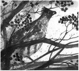 TOS_Mountain_Ash_web.jpg thumbnail