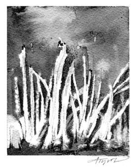 TOS_Needle_Ice_web.jpg thumbnail