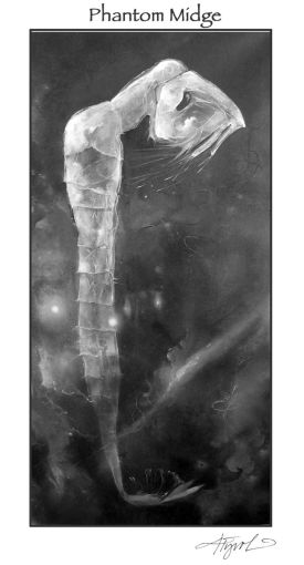 tos_phantom_midge_web.jpg thumbnail