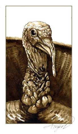 TOS_turkey_w.jpg thumbnail