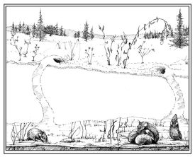 TOS_under_snow_w.jpg thumbnail