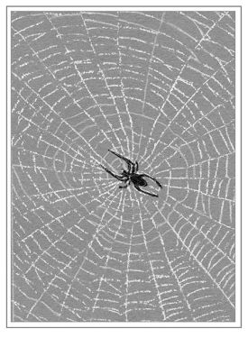 TOS_Web_w.jpg thumbnail