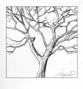 tree_branches.jpg thumbnail