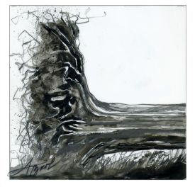 Fallen trees thumbnail