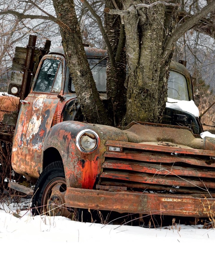 Tree truck