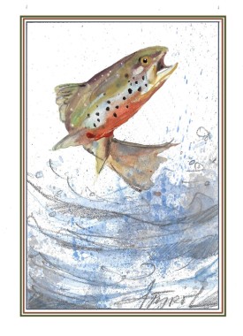 Trout thumbnail