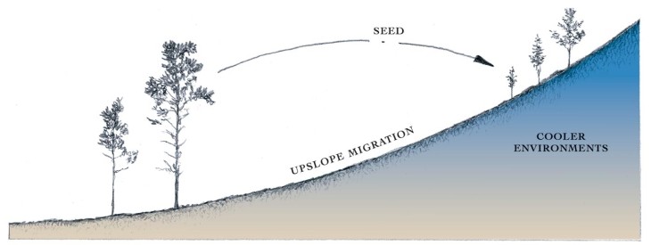 Upslope migration