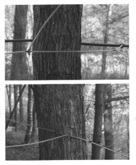 vacuum_pump.jpg thumbnail