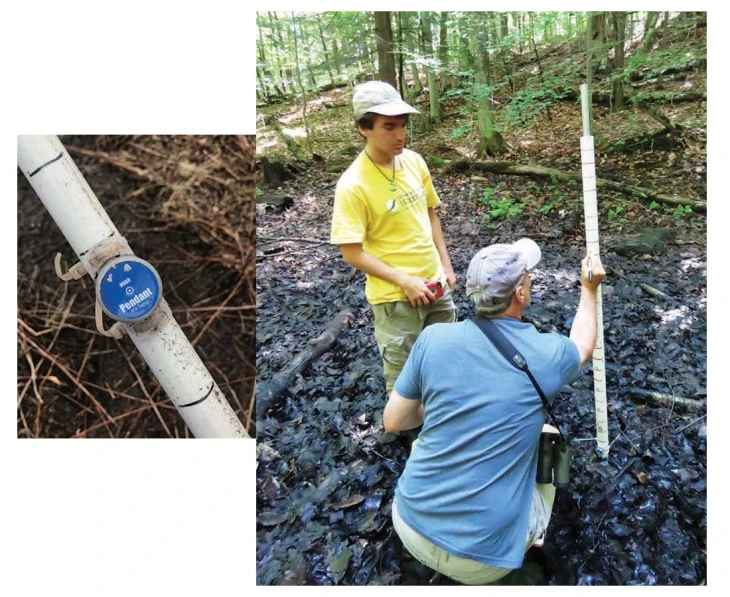 Testing Forest Water Monitoring an Island of Water in a Sea of Forest | Spring 2021 Forest ...