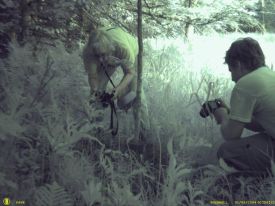 what_dave_and_ginny_found.jpg thumbnail