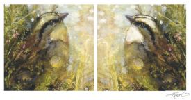 White throated sparrow thumbnail