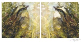 White throated sparrow thumbnail