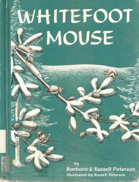 whitefootmouse.jpg thumbnail