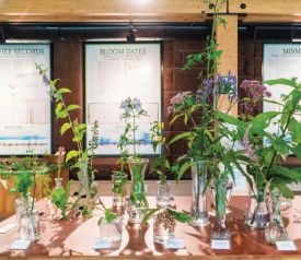 Wildflower table thumbnail