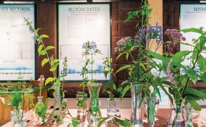 Wildflower table thumbnail