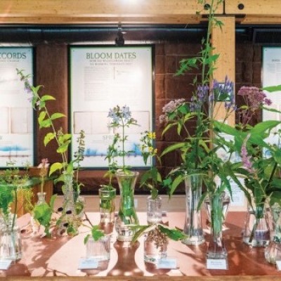 Wildflower table cover  by Harrison Creative