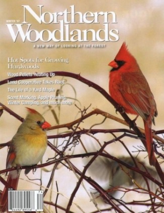 Photo by Tom Kivlan Voss Win07w.jpg cover 