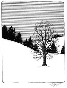 Winter_hardiness_web.jpg thumbnail