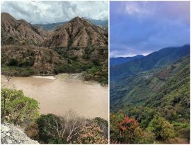 Winter hawk habitat thumbnail