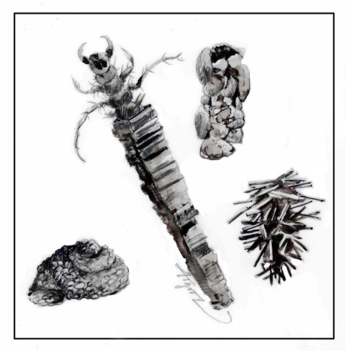 Winter invertebrates