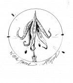 witch_hazel_seeds_thumb.jpg thumbnail