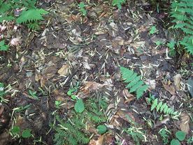 WITWIT-aug3.jpg thumbnail