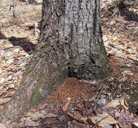 WITWIT-may12.jpg thumbnail