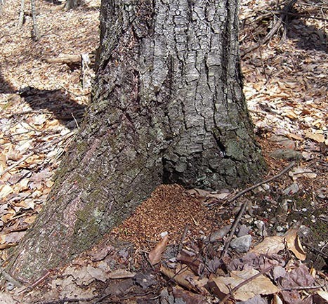 WITWIT-may12.jpg Image