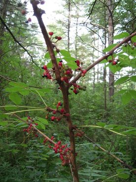 WITWIT-sept1.jpg thumbnail