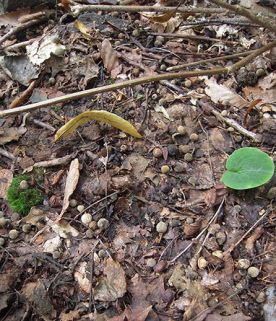 WITWIT-sept28.jpg thumbnail