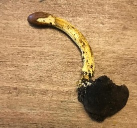 Mystery photo thumbnail