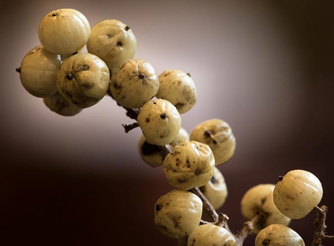 WITWIT_april29.jpg Image