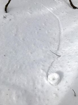 March 5 Mystery thumbnail