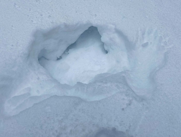 Mystery snow Image