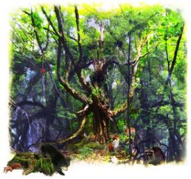 wolf_tree.jpg thumbnail