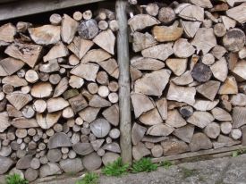 Wood by Oatsy40 thumbnail