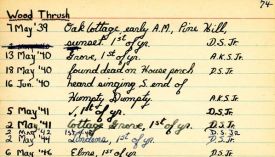 Wood-Thrush-card-.jpg thumbnail