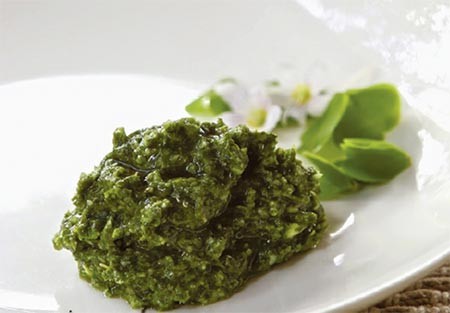 wood_sorrel_pesto.jpg