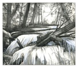 wood in streams thumbnail