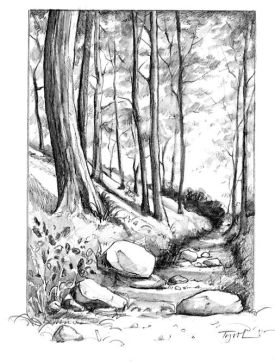 Woodland_trail.jpg thumbnail