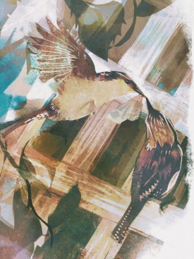 woodshed-wrens-arcabascio.jpg thumbnail