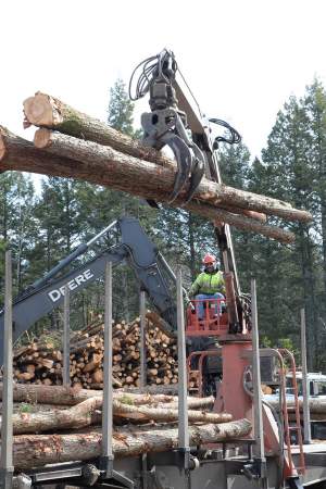 Logging Study Reflects Industry Challenges thumbnail